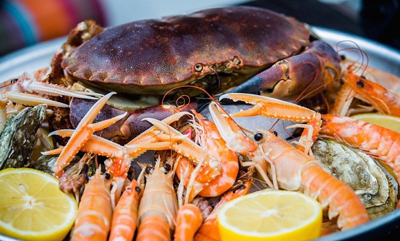 Restaurant Haddock & Co - Plateau de fruits de mer