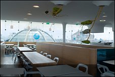 Photo restaurant paris D�li-cieux - .jpg
