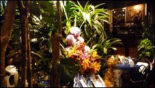 Photo restaurant paris Blue Elephant - .jpg
