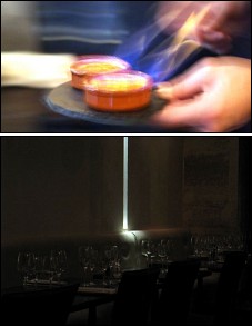 Photo restaurant paris Cafe Sud Restaurant - .jpg
