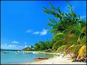 Photo restaurant paris Ile Maurice - Les plages Mauriciennes...<br>embl�me de la maison.