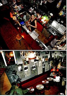 Photo restaurant paris La Jungle Transafric - La savane et le cotton club