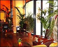 Photo restaurant paris Mandunga - Ambiance Latino et palmiers !