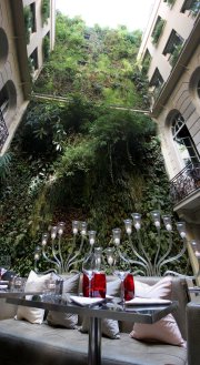 Photo restaurant paris Pershing Hall - Impressionnant jardin vertical