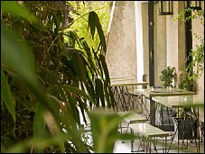 Photo restaurant paris Restaurant Cru - .jpg
