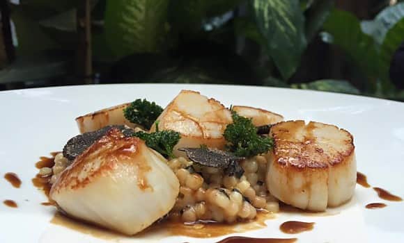 Restaurant Franais Sinople  Paris - Photo 2