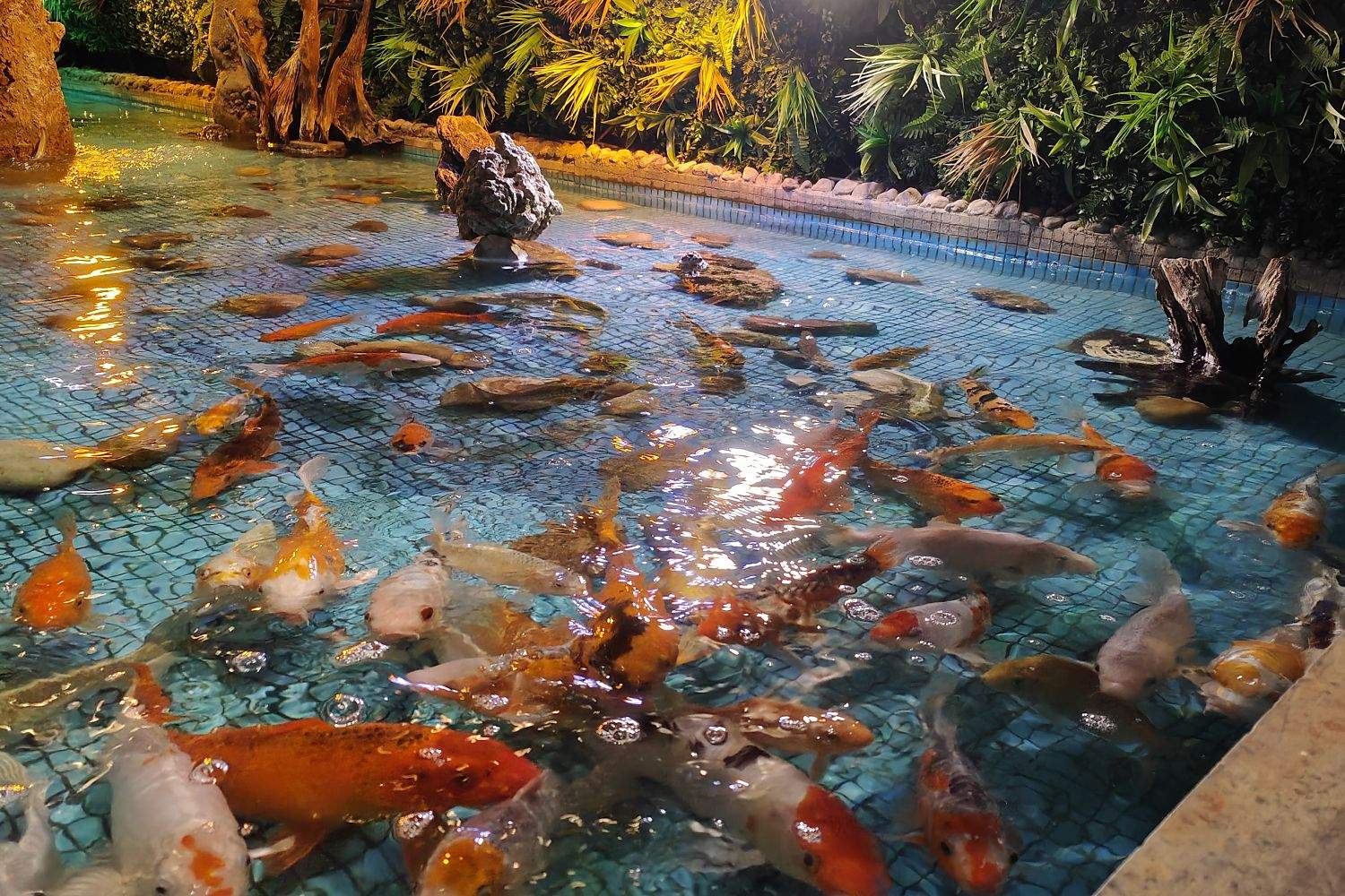 Restaurant Chinois Dragons Elys�es � Paris - Photo 7