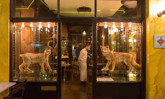 Restaurant Caffé Stern à Paris