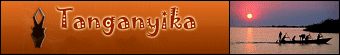 Restaurant Paris 7 me cuisine Africaine