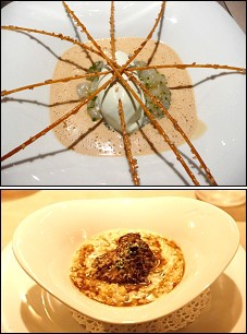 Photo restaurant paris L'Orangerie - Les langoustines en tartare et risotto d'épeautre
