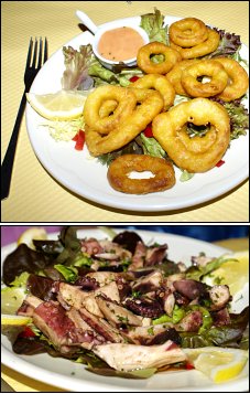 Photo restaurant paris Don Quichotte - Calamars frits et poulpes marinés