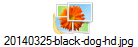 20140325-black-dog-hd.jpg