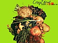 Vignette du restaurant Croq2dent 