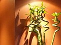 Vignette du restaurant Le Petit Boileau