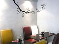 Vignette du restaurant Sushivivo
